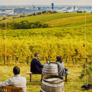 Vienna Wine Hiking Day - Insignia