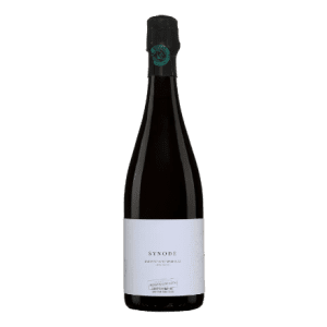 Roger Coulon Synode 2016 750