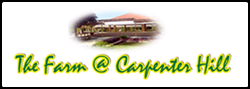 South Cotabato, SOCCSKSARGEN and Beyond | MAGSOX