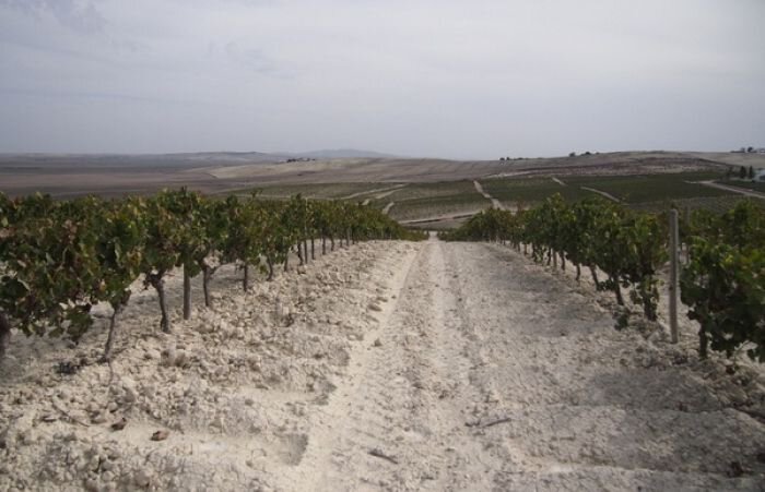 Hidalgo La Gitana Manzanilla