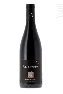 Sylvain Pataille Marsannay Rouge 2020 1.5