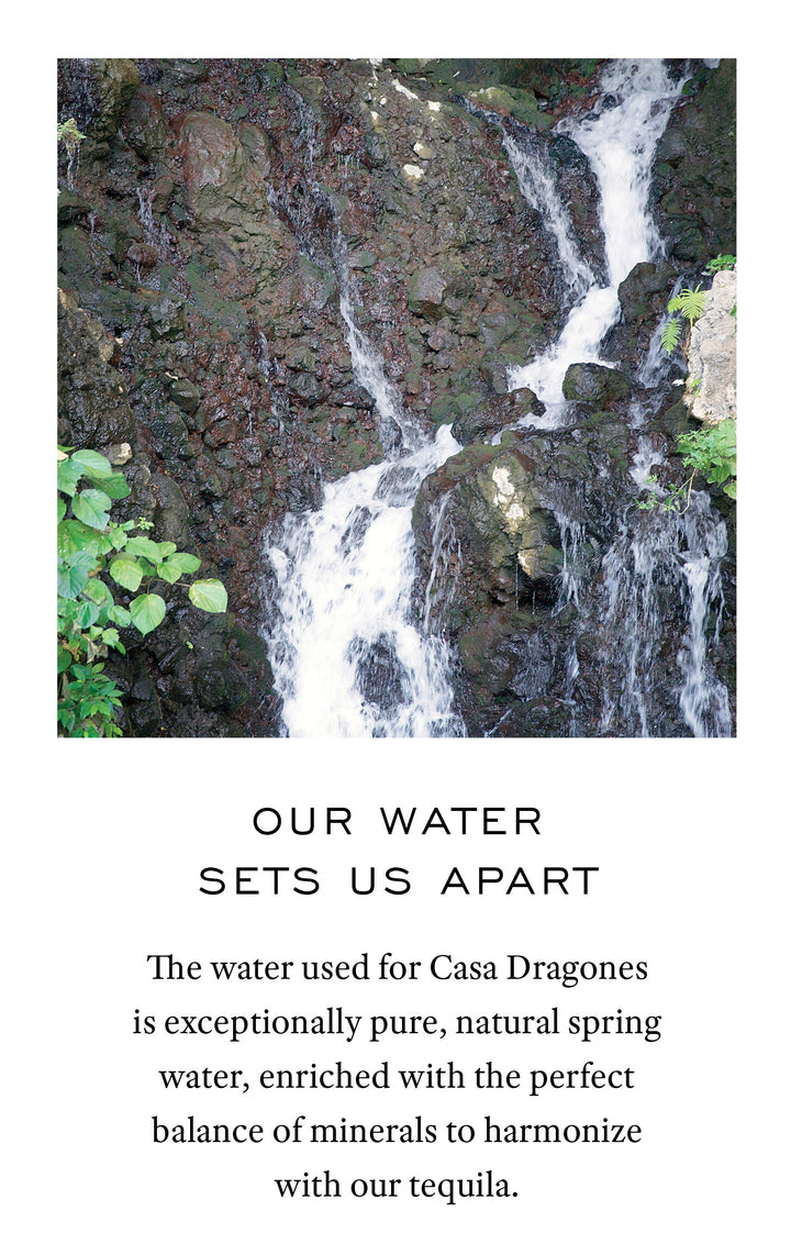 Our water sets us apart - The water used for casa dragones is exceptionally pure, natural spring water, enriched with the perfect balance of minerals to harmonize with our tequila.