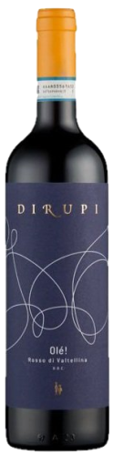Dirupi Rosso Di Valtellina 'Ole!' DOC 2022 750ml - SaratogaWine.com