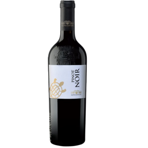 Bodegas aster Ribera Del Duero Crianza 2019 750 ML - Wine Online ...