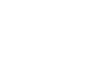 Bull Run Temperance Bourbon 114' 750
