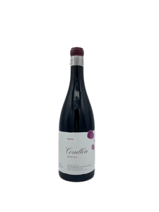 2020 Descendientes de Jose Palacios 'Villa de Corullon' Bierzo ...