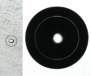 Comprehensive analysis of spherical bubble oscillations and shock ...