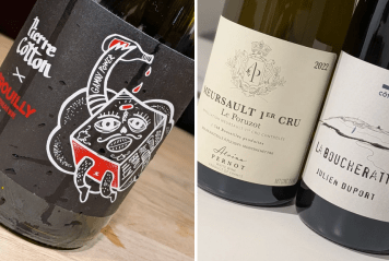 Burgundy-Report – The people, the place, their wines…