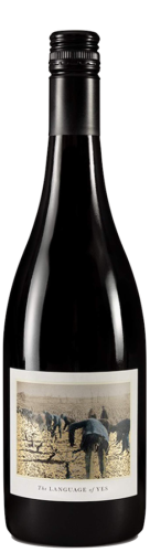 Language Of Yes Grenache 2022 750ml - SaratogaWine.com