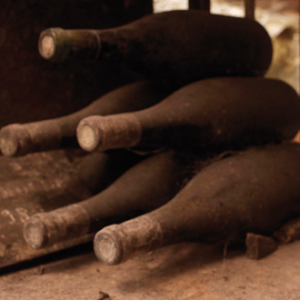 Domaine du Clos Frantin (Albert Bichot) - Producers - United Kingdom