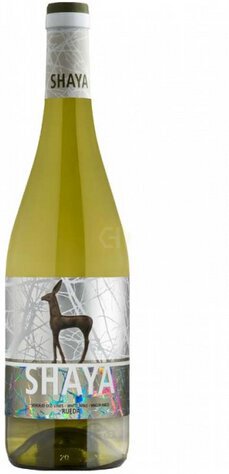 Shaya Rueda Verdejo