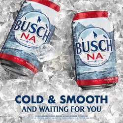 Busch NA, Non-Alcoholic Beer 12OZ - Green's Beverages Warehouse