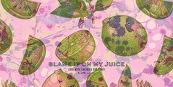 Lamplighter Brewing Blame It On My Juice Gose 4pk 16OZ - Wollaston ...