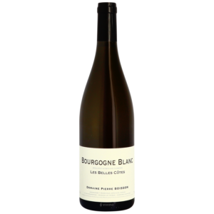 Pierre Boisson Les Belles Côtes Bourgogne Blanc | Vivino Australia